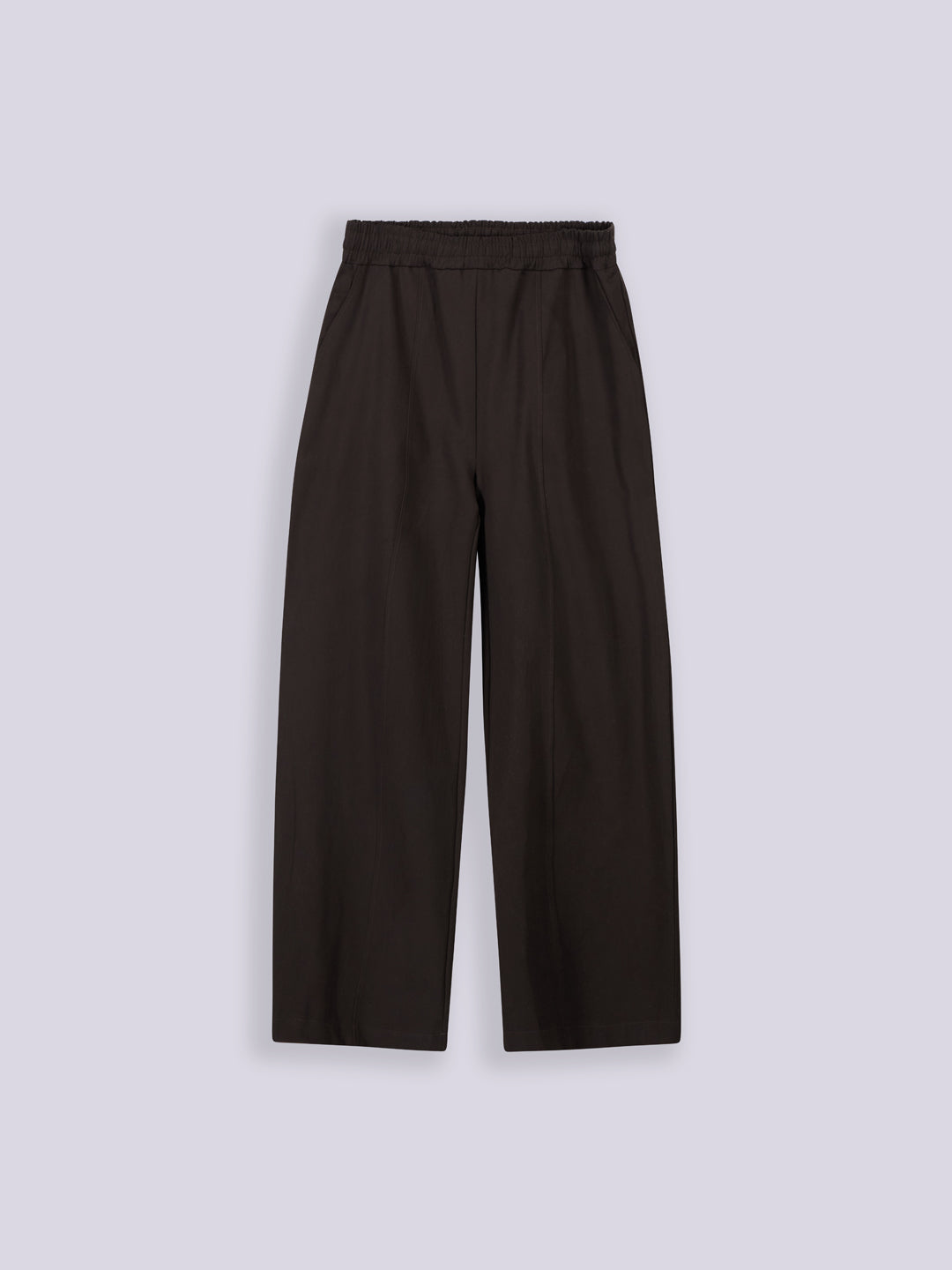 PEACHED GABARDINE BIGGY PANTS