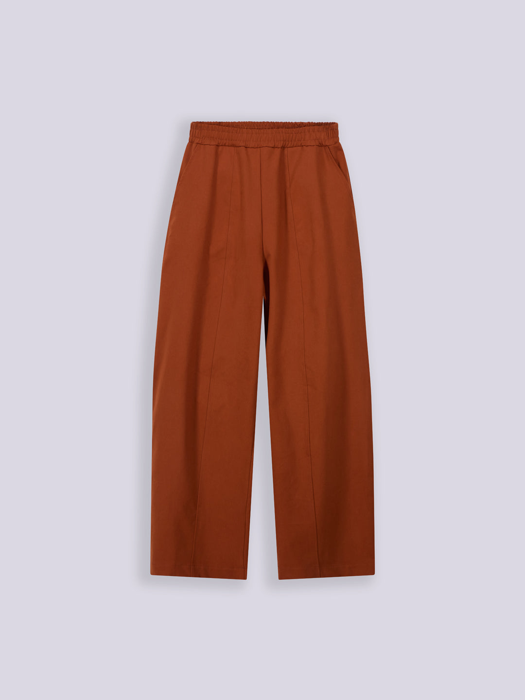 PEACHED GABARDINE BIGGY PANTS